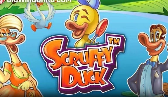 Scruffy Duck